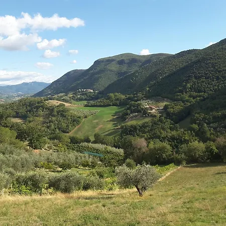 5 Apartment Narni